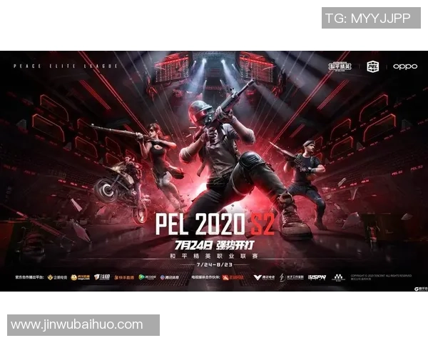 和平精英团队协作新高峰V5战队展现卓越实力与默契配合