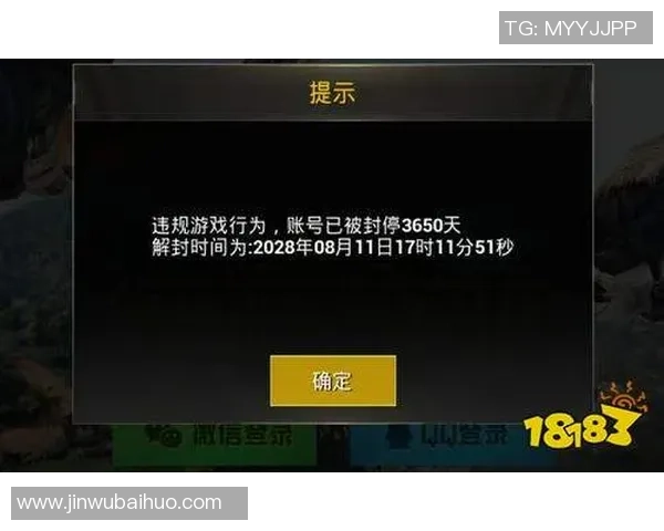 和平精英V5版本运营分析与玩家反馈探讨